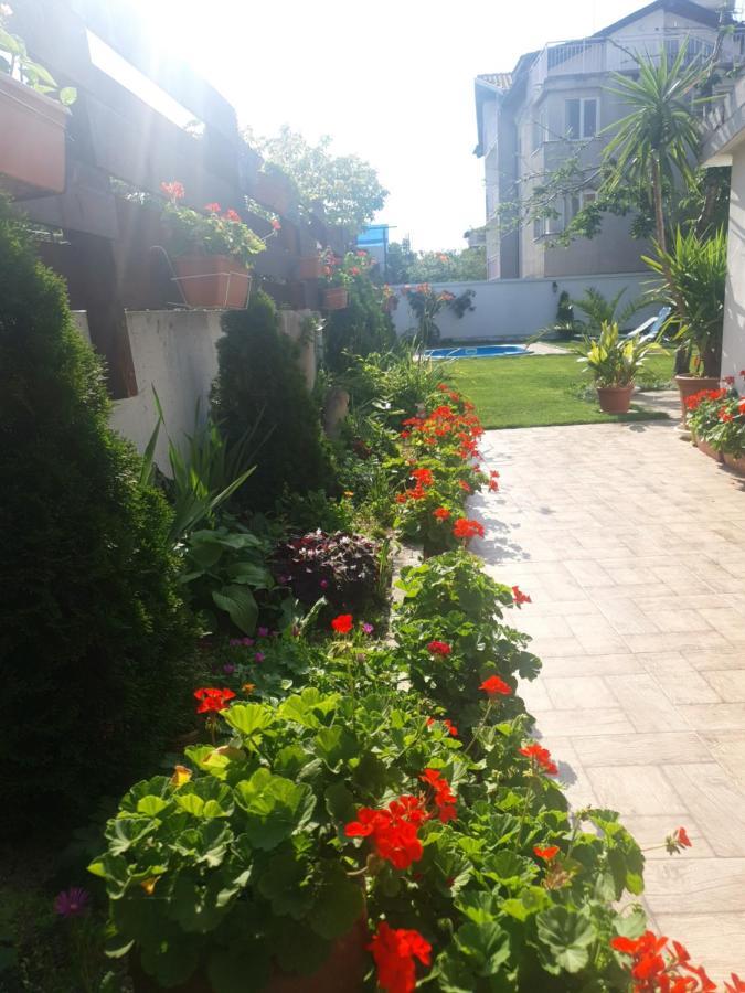 Cherry Garden Apartments Sveti Vlas Buitenkant foto